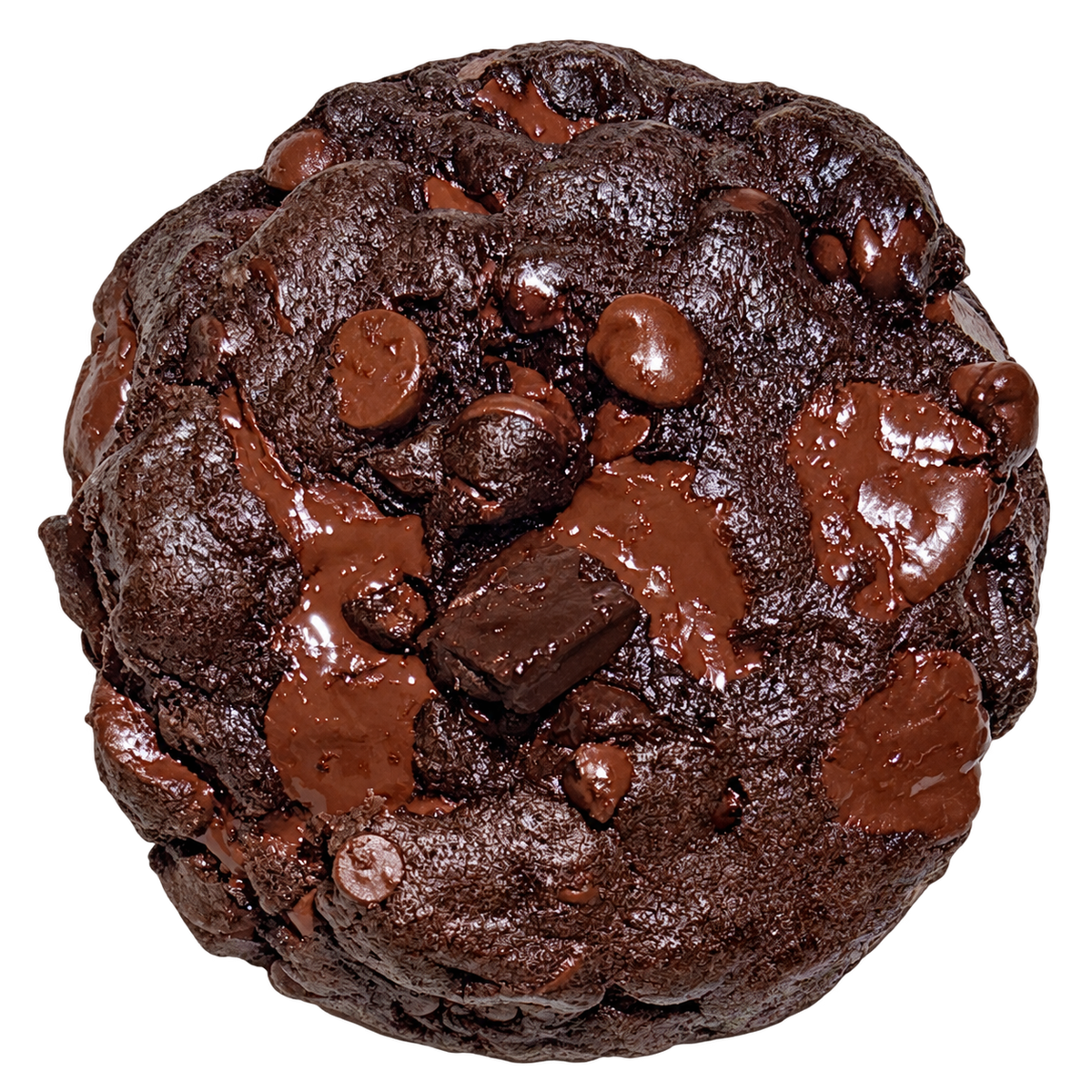 Chocolate Reign, 6-Pack