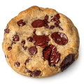 The OG Chocolate Chip